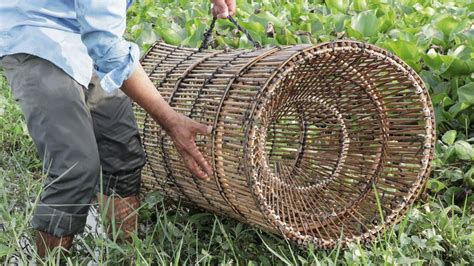 We Survival How To Make Fish Trap From Bamboo How To Make Fish Fish