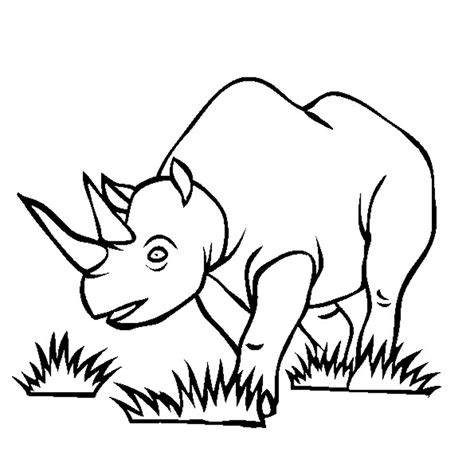 Rhino Head Coloring Page Coloring Pages