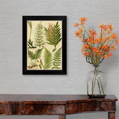 Fern Collection Ii Black Framed Wall Art Print Floral Home Decor Ebay