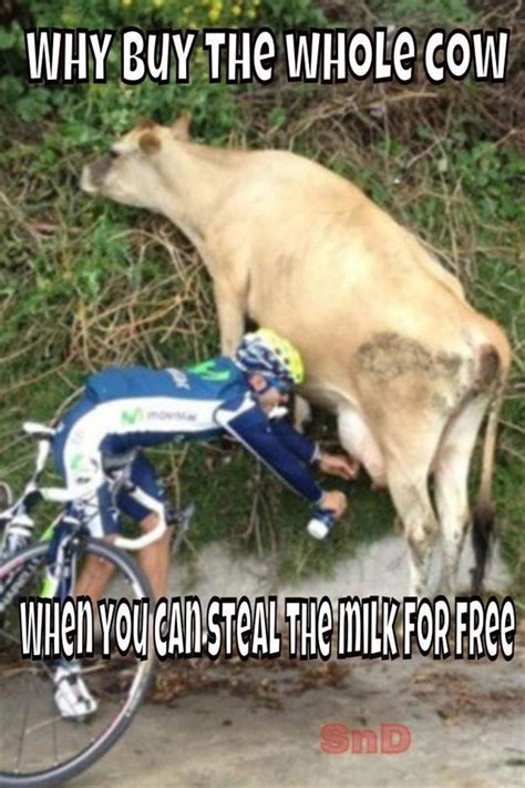 funny pictures milking the cow dump a day