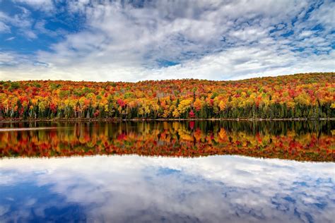 1920x1280 Lake Foliage Reflection Fall Nature Forest Wallpaper