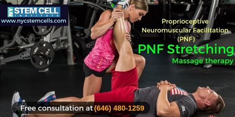 Pnf Stretching Massage Therapy Massage Therapy Flexibility Training Therapy