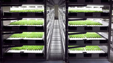 The Worlds First Robot Farm Requires No Human Farmers At All