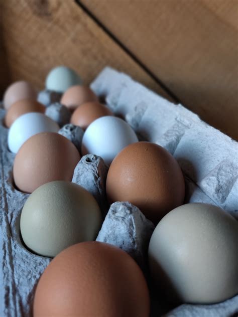 Free Range Chicken Eggs Market Wagon Online Farmers Markets And Local Food Delivery