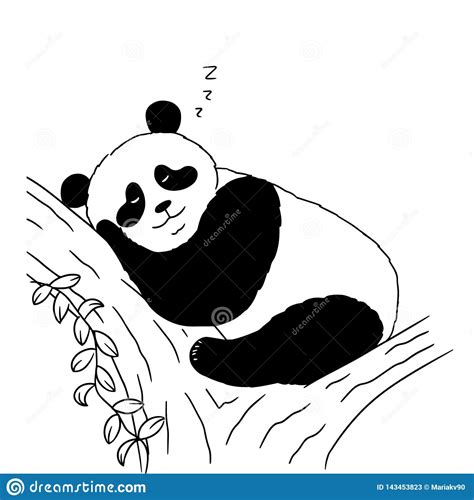 Sleeping Cute Panda On White Background Vector Illustration Of