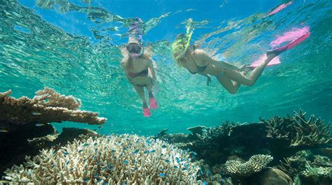 Great Barrier Reef Snorkelling And Intro Dive With Lunch Full Day