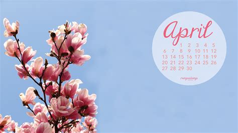 47 April Flowers Desktop Wallpaper On Wallpapersafari
