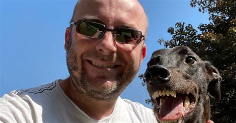 Love At First Sight Grinning Greyhounds Cheesy Smile Won Over Heart
