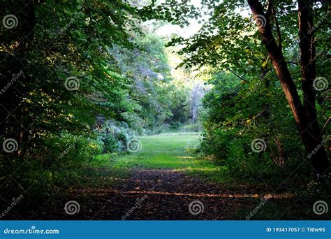 Dark Path Leading To An Opening In The Forest Stock Image Image Of