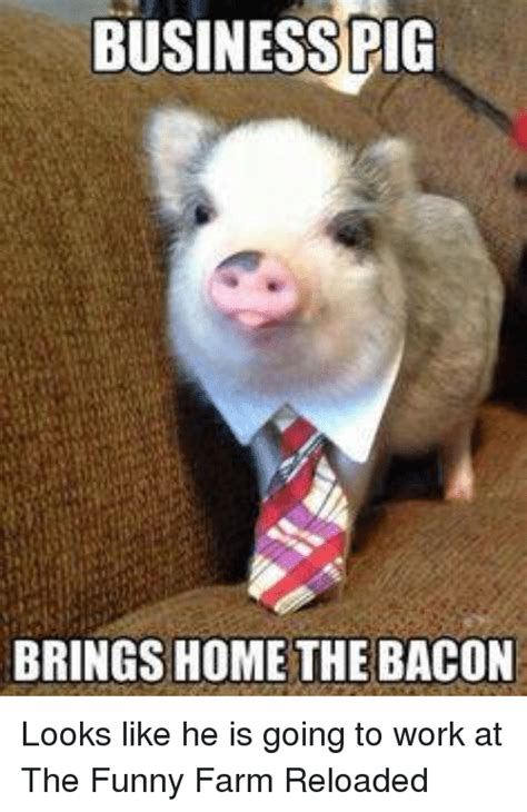 Businesspic Brings Home The Bacon Looks Like He Is Going