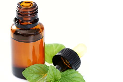 100% Pure Peppermint Essential Oil - Bulk Wholesale Options