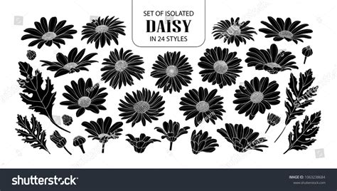 Set Isolated Silhouette Daisy 24 Styles Stock Vector Royalty Free