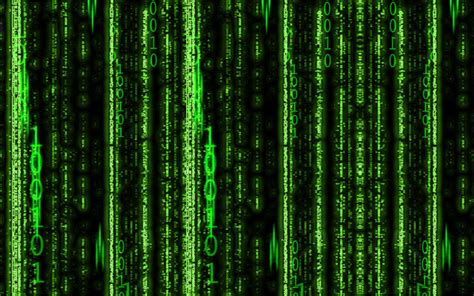 50 The Matrix Wallpapers And Screensaver Wallpapersafari