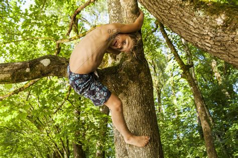 Little Boy Climbing On A Tree In The Forest Stock Photo Offset