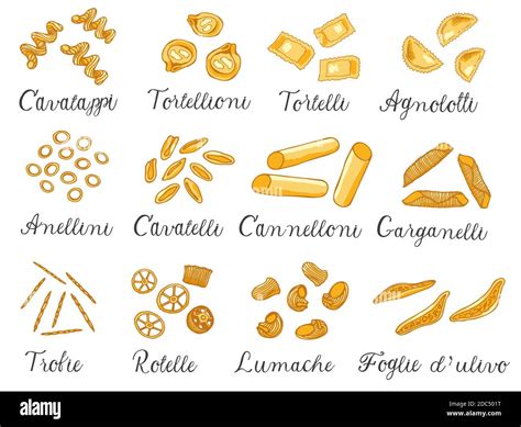 Hand Drawn Large Set Of Different Types Of Italian Pasta With Names