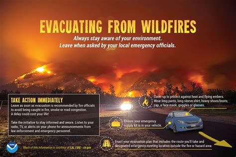 Wildfire Infographics