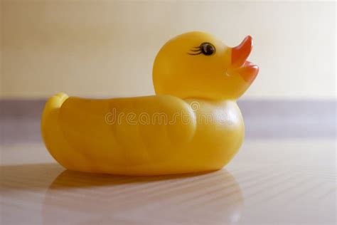 Closeup Shot Of A Small Rubber Ducky Stock Image Image Of Duck Baby
