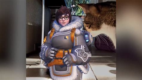 Anyone Know How We Obtain This Owl Gray Skin For Mei I Have Them All