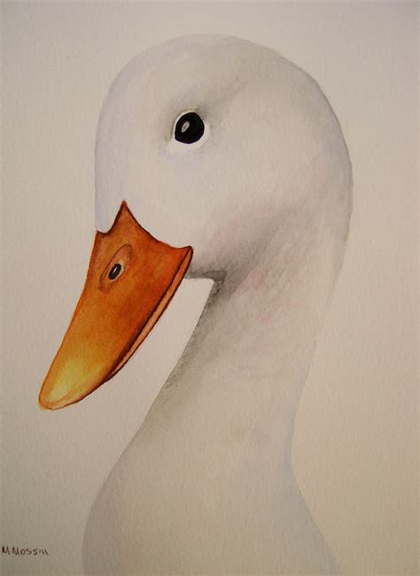 Duck Watercolour Painting Duck Art Watercolour Painting Bird Art