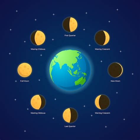 Illustration Des Phases De La Lune Vecteur Premium