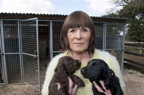 Gayton Couple Appeal For Return Of Stolen Puppies