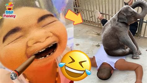 Best Funny Videos 2023 Make You Laugh All Day 🤣 Try Do Not Laugh 😂 Part