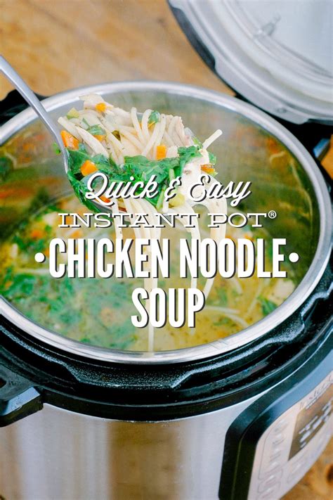 Quick and Easy Instant Pot Chicken Noodle Soup (Pressure ...