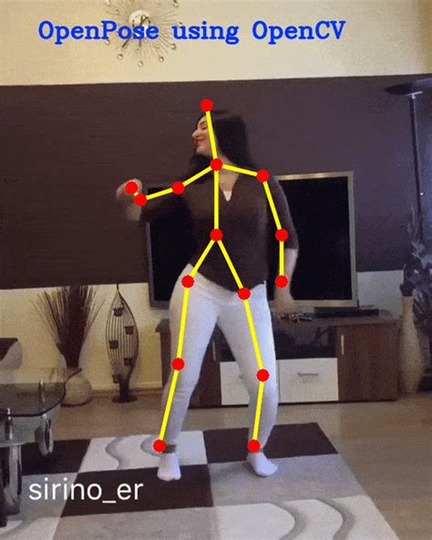 Human Pose Estimation Opencv Python With Source Code Video Vrogue My