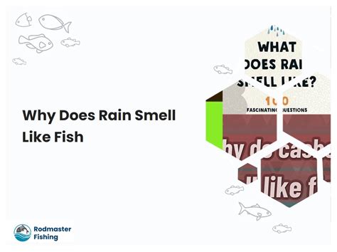 Why Does Rain Smell Like Fish