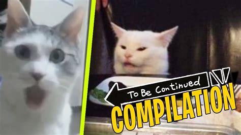 To Be Continued Compilation Funny Animal Fails In 2021 Animal Fails