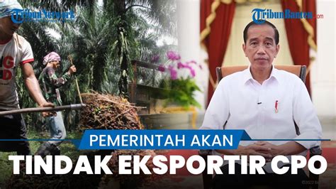 Larangan Ekspor Cpo Dan Turunannya Telah Berlaku Pemerintah Akan Tindak Tegas Eksportir Cpo