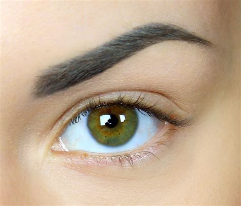 The Perfect Eyebrows Playbook For Shaping Brows That Wow Shape Magazine