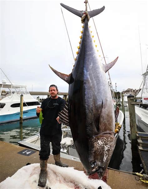 Angler Catches Record Tuna As Predicted Then Gives It Away