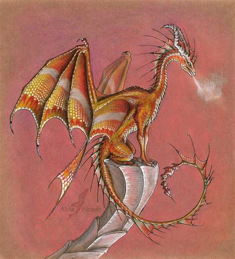 Western Dragons Dragon Drawing Dragon Art Dragon Pictures