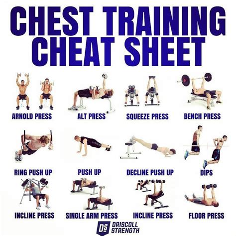 Chest Workout Cheat Sheet And Training Plan The Collection Of The Most Favorite Non Bech Press
