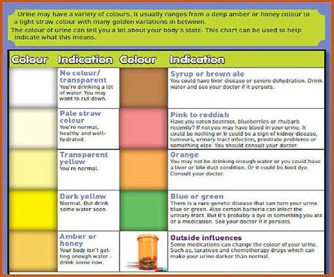 What Your Urine Colour Says About Your Health According To A Gp