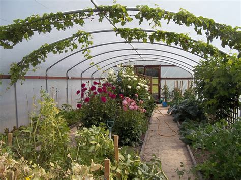 13 Diy High Tunnel Ideas To Build In Your Garden
