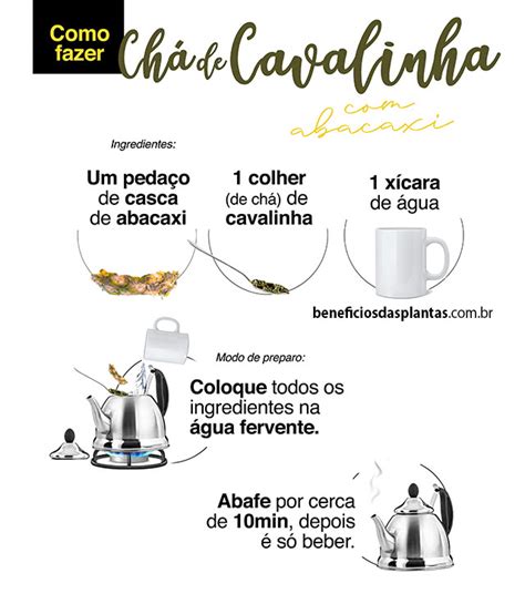 Cavalinha Benefícios E Propriedades Dessa Planta E Seu Chá