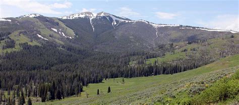 Maybe you would like to learn more about one of these? Tower Fall Campground. Views Mt. Washburn in Yellowstone ...