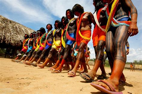 povos indígenas do brasil como provar que sou indígena e como tirar o rani