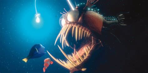 They Were Definitely Scared Le Monde De Nemo Créature De Mer