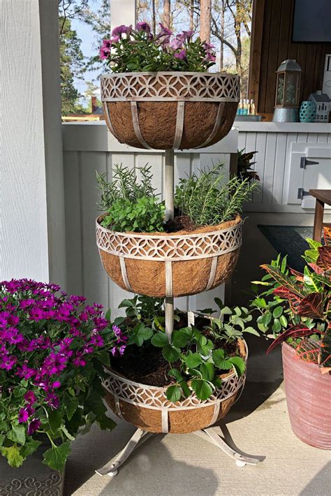 Basket Planters Outdoor Mbi Garden Plant