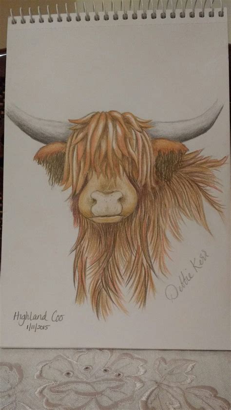 Highland Cow Sketch Coloured Pencil Highland Cow Painting Highland Cow