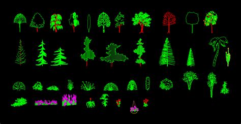 Trees And Plants Elevation 2d Dwg Elevation For Autocad • Designs Cad