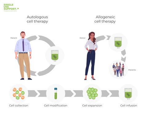 Autologous Vs Allogeneic Cell Therapy