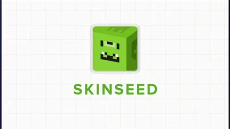 【skinseed】天域学院×创造师营地 了解皮肤制作工具 哔哩哔哩