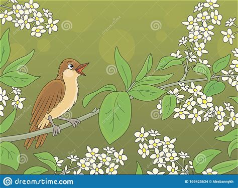 Nightingale Singing On A Branch With Flowers Stock Vector