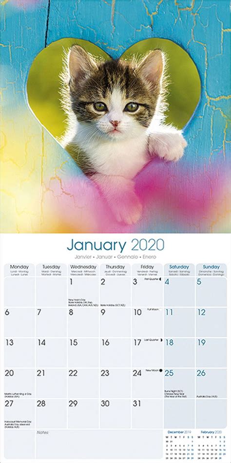 Kittens Calendar 2020 Pet Prints Inc