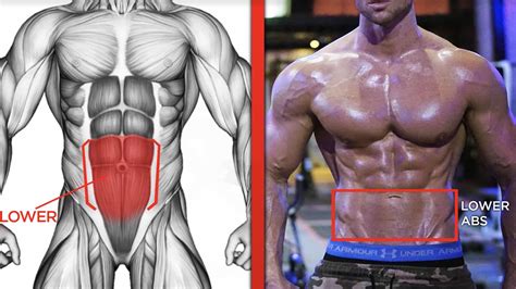 Lower Ab Workout Perfect For Men Superhuman Fitness