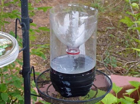 Homemade Wasp Trap Instructions How To Make A Homemade Wasp Trap